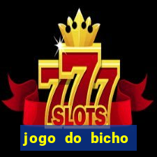 jogo do bicho crash bingo